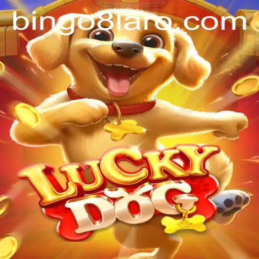 Unveiling LuckyDog: An Exciting Dive into the World of BINGO8